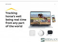 safety-solutions-for-stables-tracks-and-arenas-small-0
