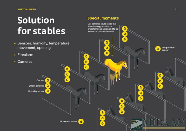 safety-solutions-for-stables-tracks-and-arenas-big-1