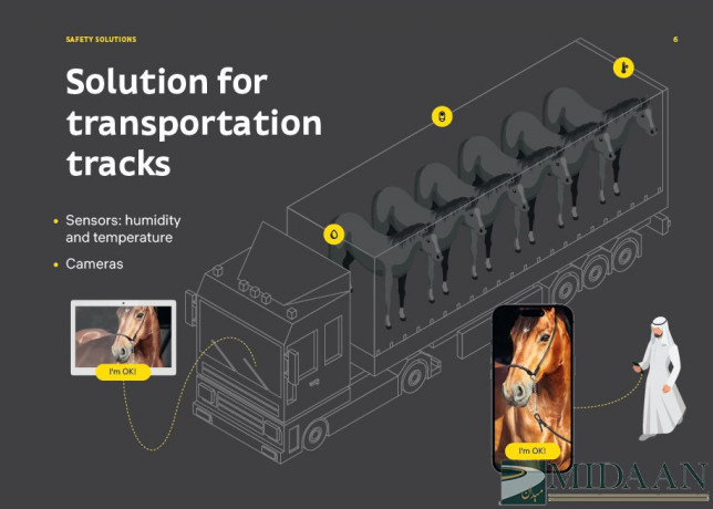 safety-solutions-for-stables-tracks-and-arenas-big-2