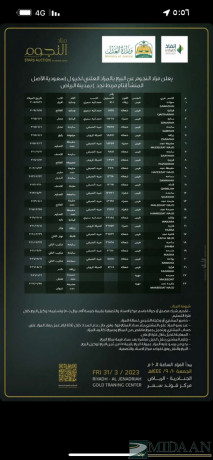 mzad-alngom-big-1